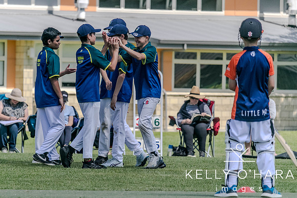 Aquinas Junior Cricket Term 4 2023 wm-8852