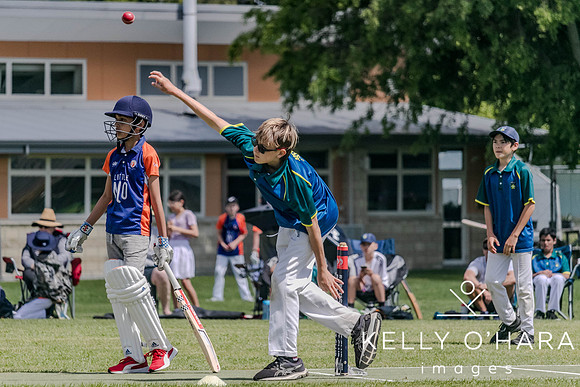 Aquinas Junior Cricket Term 4 2023 wm-8882