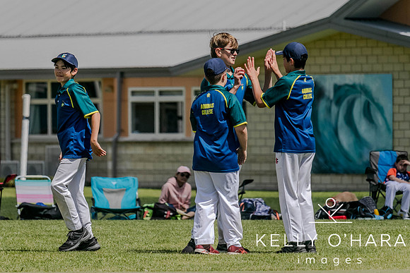 Aquinas Junior Cricket Term 4 2023 wm-8889