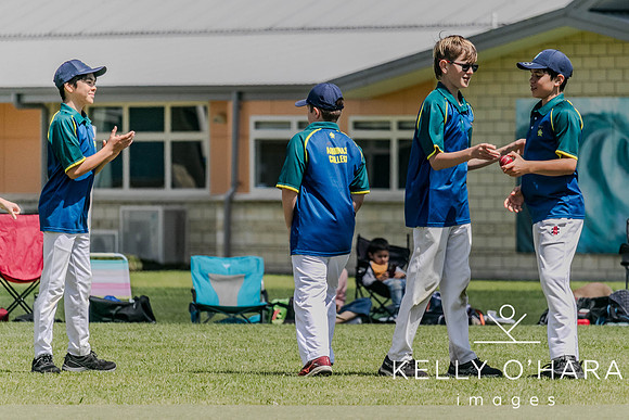Aquinas Junior Cricket Term 4 2023 wm-8891