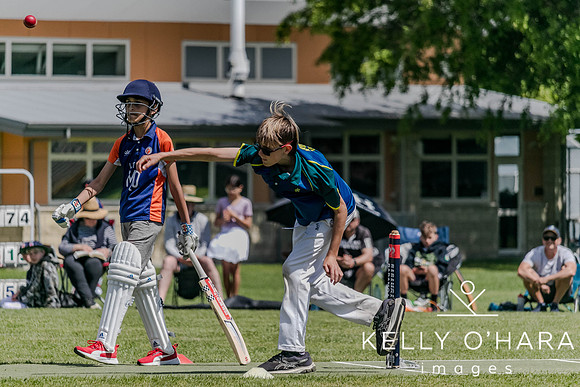 Aquinas Junior Cricket Term 4 2023 wm-8892
