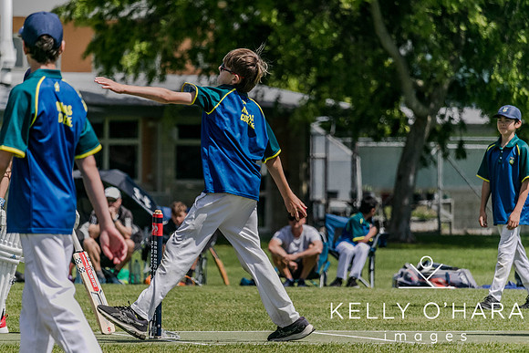 Aquinas Junior Cricket Term 4 2023 wm-8897