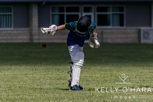 Aquinas Junior Cricket Term 4 2023 wm-8899