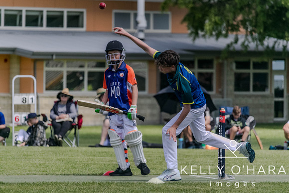Aquinas Junior Cricket Term 4 2023 wm-8905