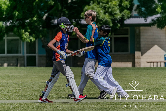 Aquinas Junior Cricket Term 4 2023 wm-8912