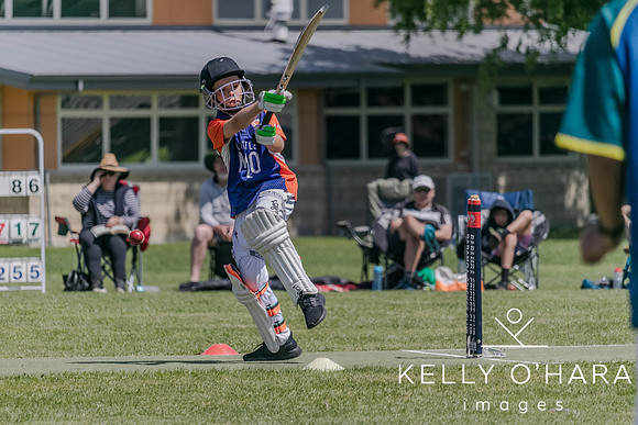 Aquinas Junior Cricket Term 4 2023 wm-8924