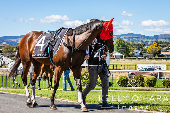 Tauranga Race Course March 15 2025 wm-0163