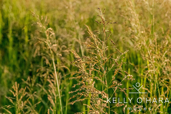On The Farms 2023 wm-0664