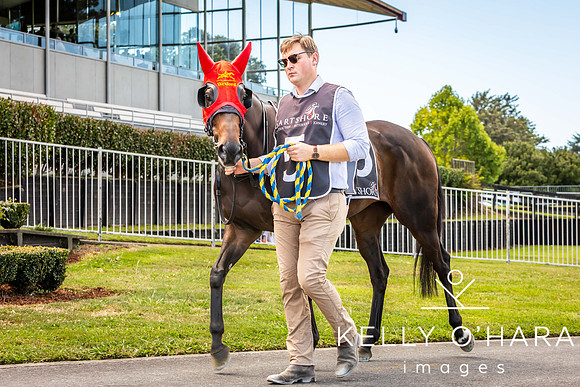 Tauranga Race Course March 15 2025 wm-0585