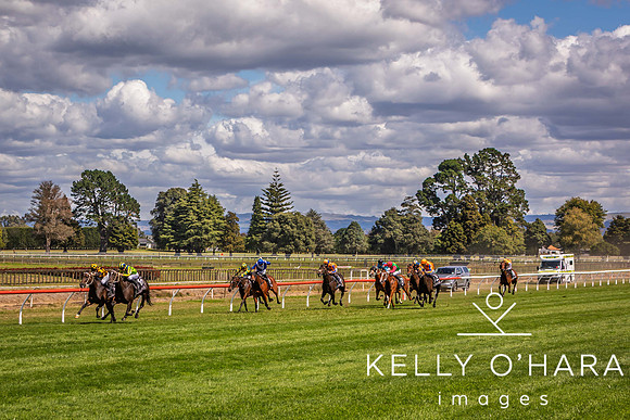 Tauranga Race Course March 15 2025 wm-0933