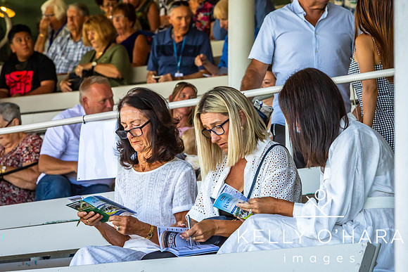 Tauranga Race Course March 15 2025 wm-0211