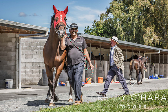 Tauranga Race Course March 15 2025 wm-0279