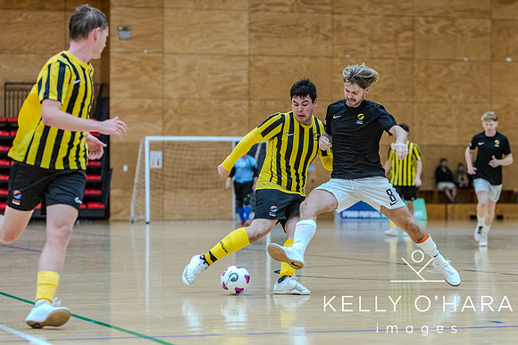 Mens Futsal Mercury Bay Park 2024 wm-5674