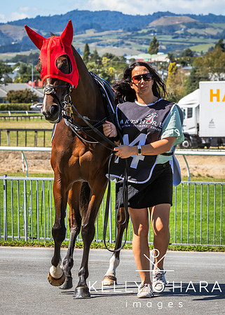 Tauranga Race Course March 15 2025 wm-0169