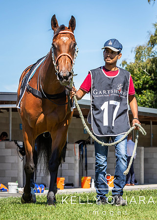 Tauranga Race Course March 15 2025 wm-0030