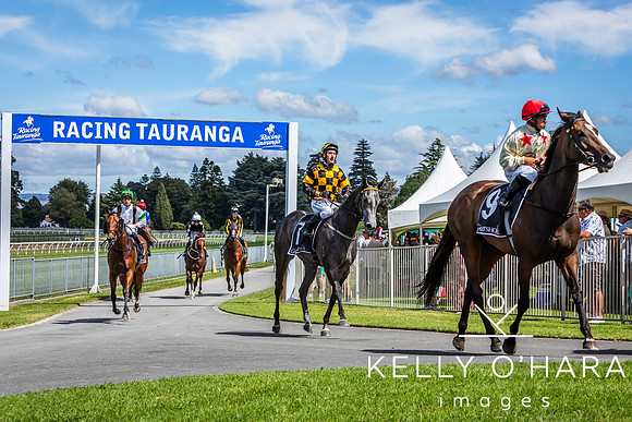 Tauranga Race Course March 15 2025 wm-0420