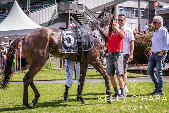 Tauranga Race Course March 15 2025 wm-0439