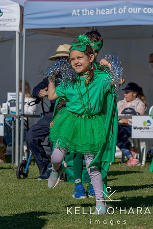 Waipuna Hospice Super Hero Walk 2024 wm-0495