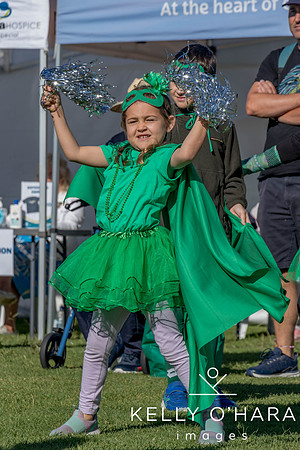 Waipuna Hospice Super Hero Walk 2024 wm-0503