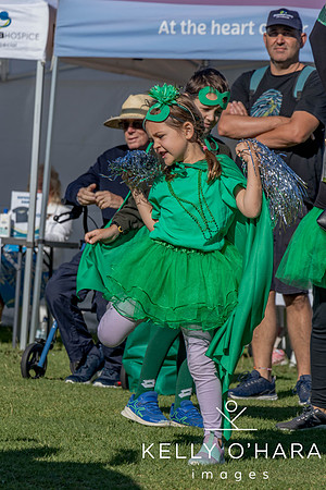 Waipuna Hospice Super Hero Walk 2024 wm-0506