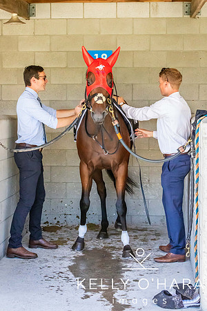 Tauranga Race Course March 15 2025 wm-0104