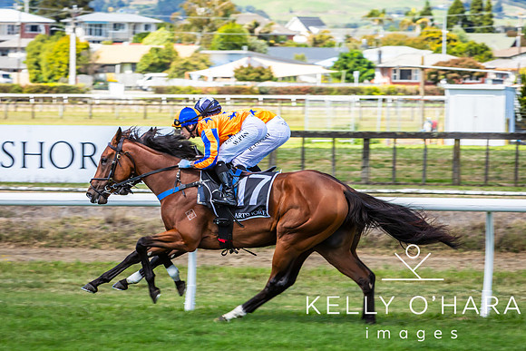 Tauranga Race Course March 15 2025 wm-0254