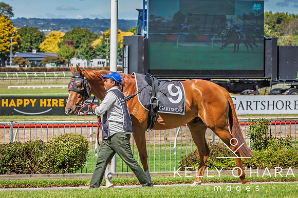 Tauranga Race Course March 15 2025 wm-0149
