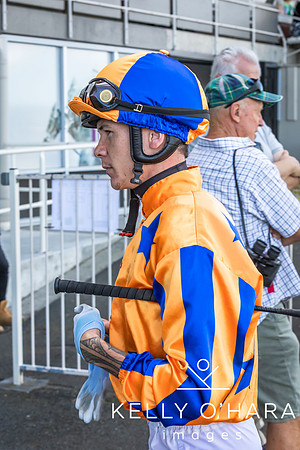 Tauranga Race Course March 15 2025 wm-0270