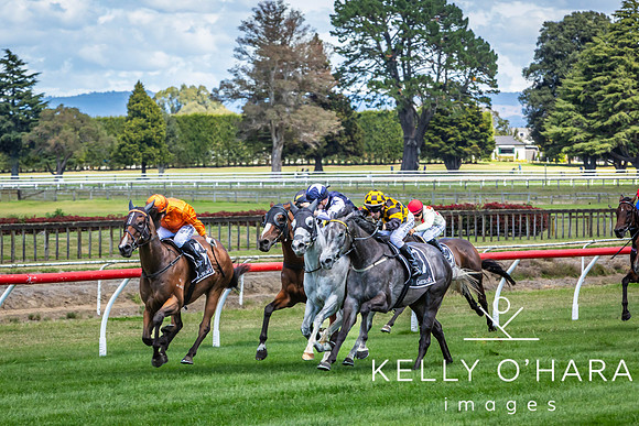 Tauranga Race Course March 15 2025 wm-0349