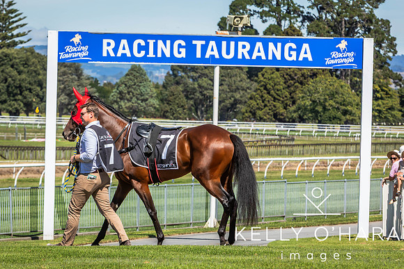 Tauranga Race Course March 15 2025 wm-0179