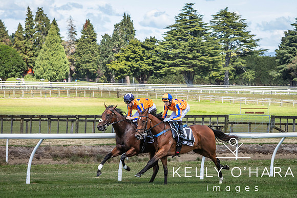 Tauranga Race Course March 15 2025 wm-0243