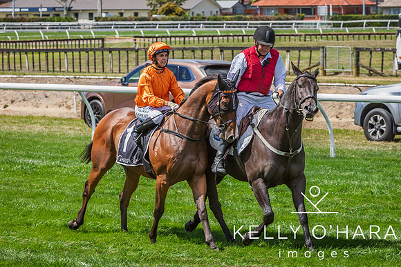 Tauranga Race Course March 15 2025 wm-0396