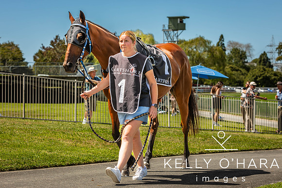 Tauranga Race Course March 15 2025 wm-0634