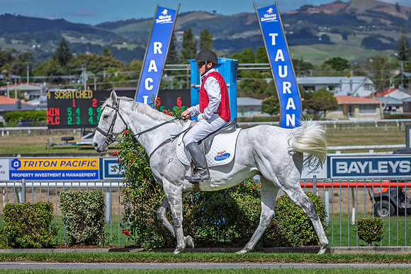Japan Cup - LoveRacing.nz - Tauaranga Race Course