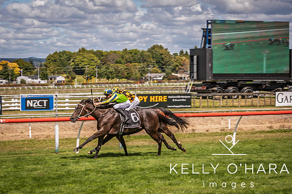 Tauranga Race Course March 15 2025 wm-0941