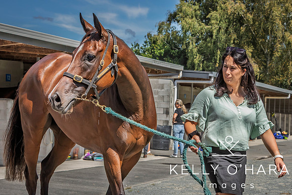Tauranga Race Course March 15 2025 wm-0295