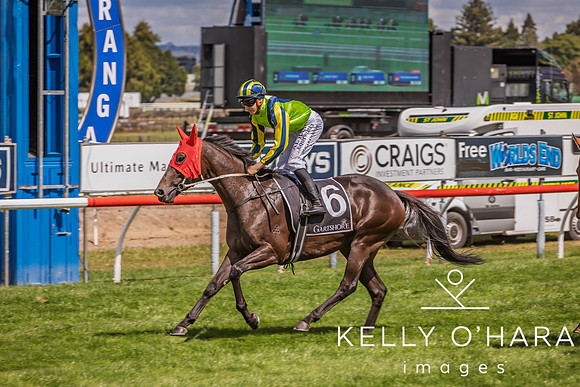 Tauranga Race Course March 15 2025 wm-0902