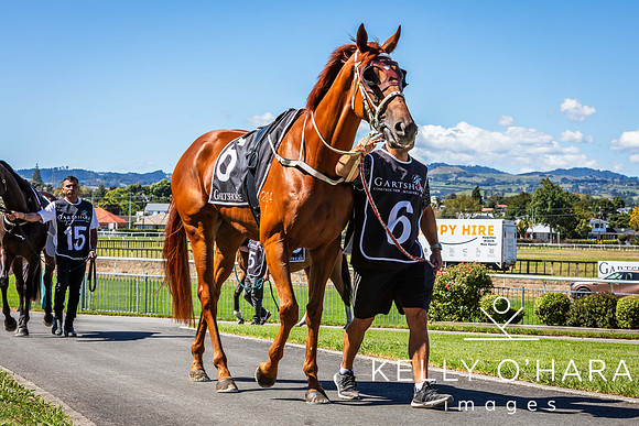 Tauranga Race Course March 15 2025 wm-0154
