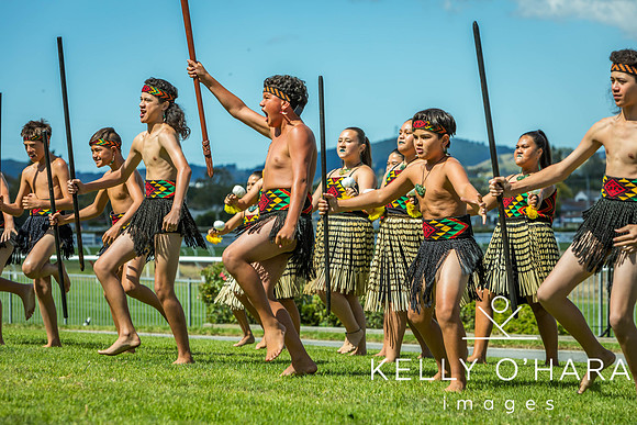 Tauranga Race Course March 15 2025 wm-1101