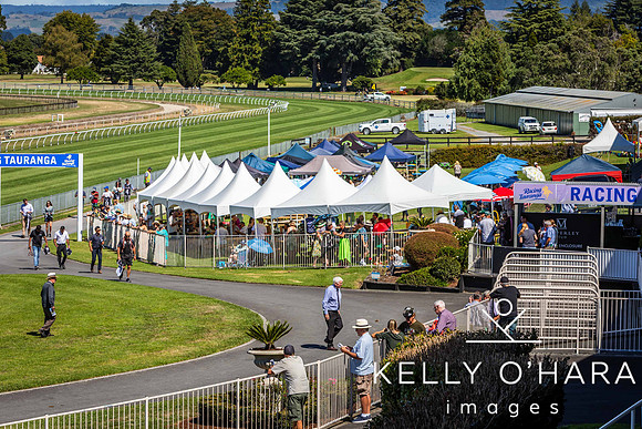 Tauranga Race Course March 15 2025 wm-0222