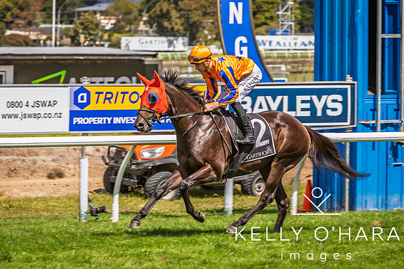 Tauranga Race Course March 15 2025 wm-0910