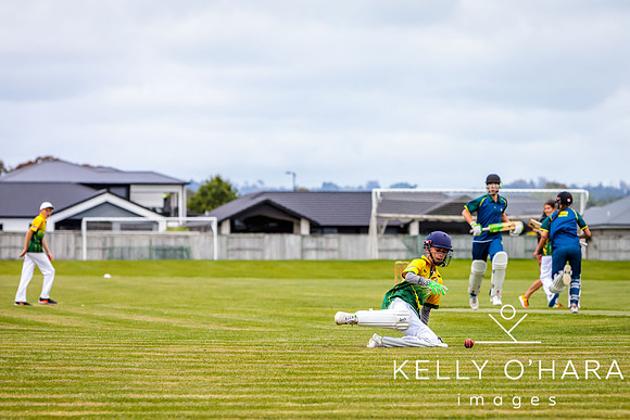 Aquinas Vs Mount Cricket 2024 wm-5974