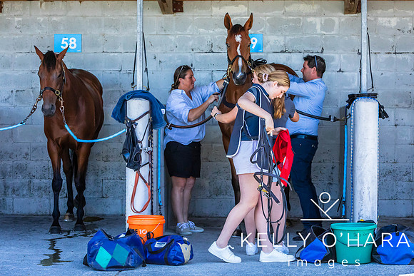 Tauranga Race Course March 15 2025 wm-0038