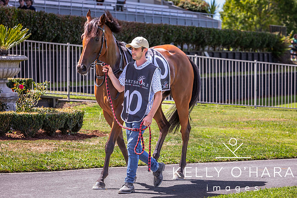 Tauranga Race Course March 15 2025 wm-0620