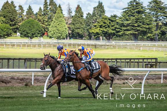 Tauranga Race Course March 15 2025 wm-0244