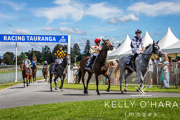 Tauranga Race Course March 15 2025 wm-0418