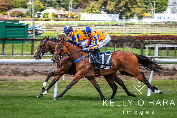 Tauranga Race Course March 15 2025 wm-0249