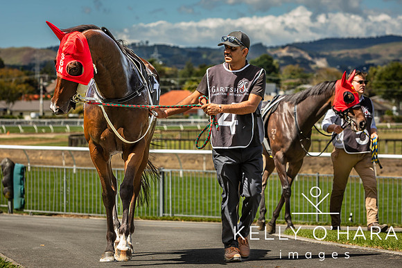 Tauranga Race Course March 15 2025 wm-0644