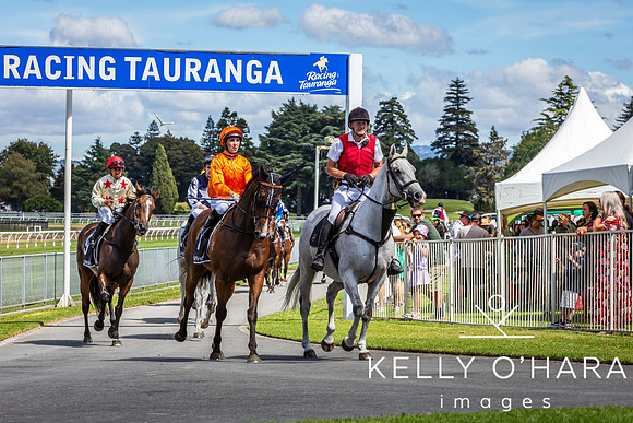 Tauranga Race Course March 15 2025 wm-0408