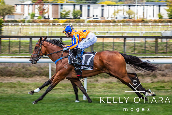 Tauranga Race Course March 15 2025 wm-0253